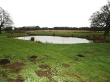 Extended Phase I and Great Crested Newt Survey site in Heyford, Oxfordshire