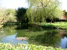 Great Crested Newt Survey site in Witney, Oxfordshire