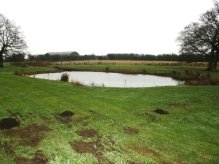 Extended Phase I and Great Crested Newt Survey site in Heyford, Oxfordshire
